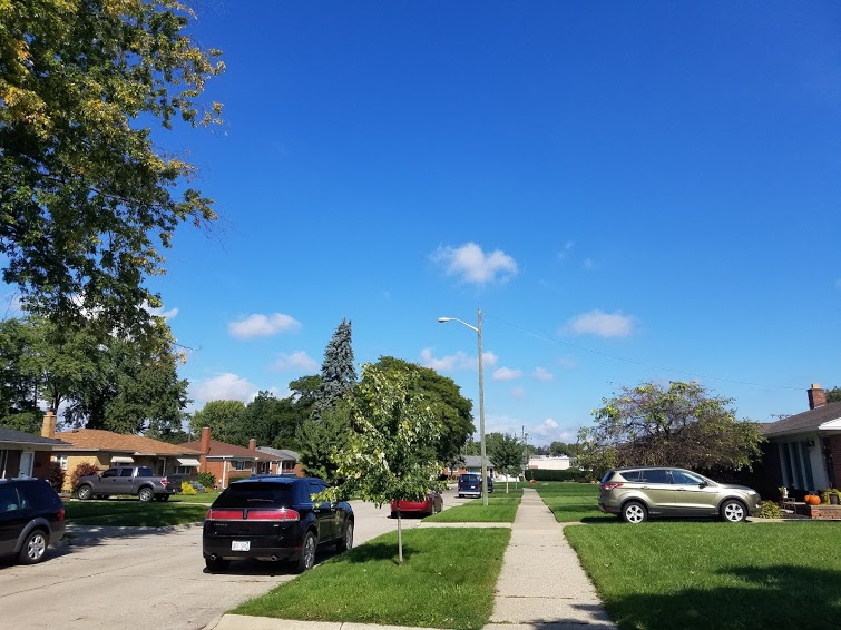 ᐈ Junk Removal in Dearborn Heights, MI WE JUNK because WE CARE