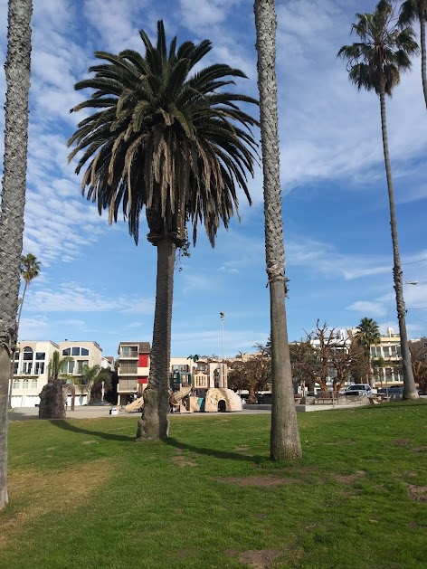 Junk Removal in Playa Del Rey Neighborhood, Los Angeles, Ca