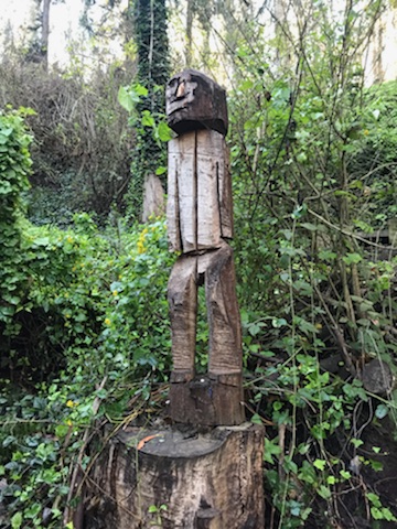Junk Removal in Forest Knolls Neighborhood, San Francisco, Ca