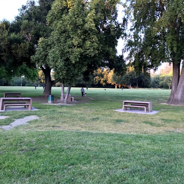 Junk Removal in Naglee Park Neighborhood, San Jose, Ca