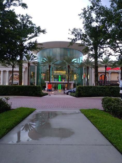 Junk Removal in Millenia Neighborhood, Orlando, Fl