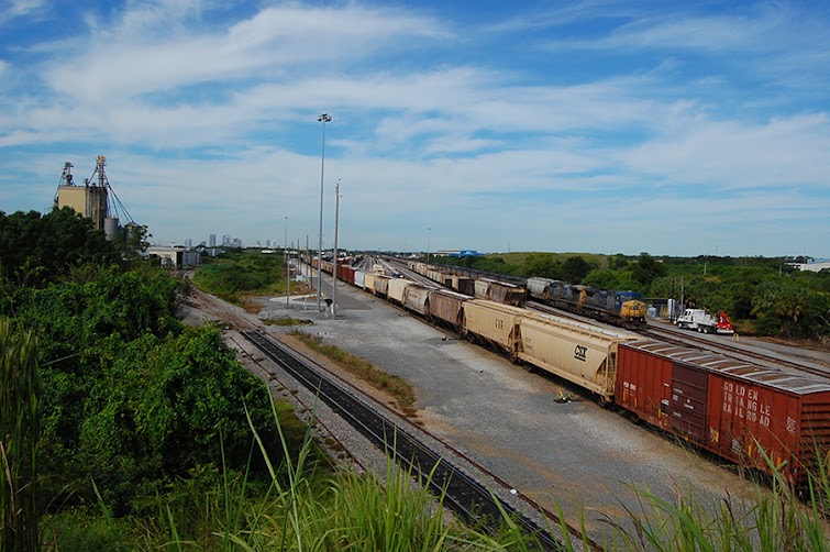 Junk Removal in Csx Neighborhood, Tampa, Fl