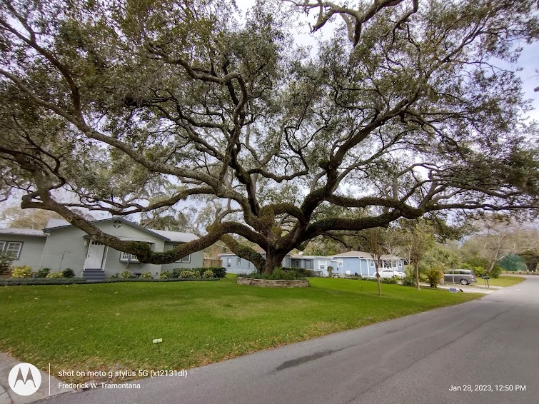 Junk Removal in East Forest Hills Neighborhood, Tampa, Fl