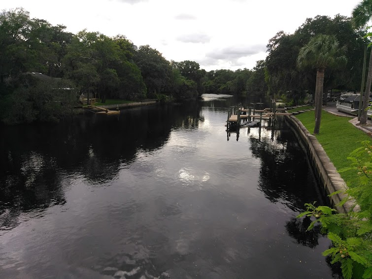 Junk Removal in Sulphur Spring Neighborhood, Tampa, Fl