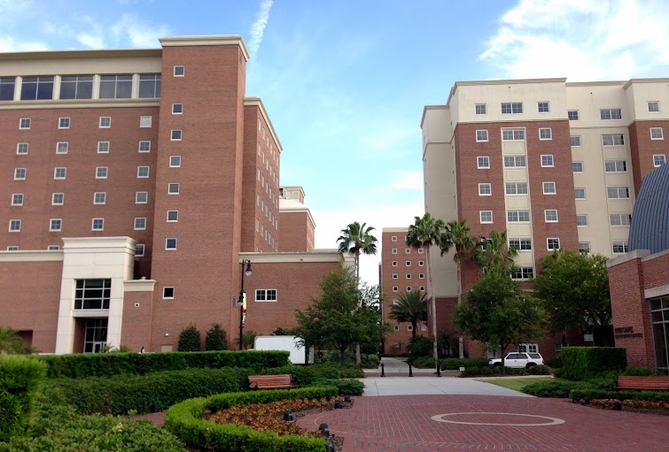 Junk Removal in University Of Tampa Neighborhood, Tampa, Fl