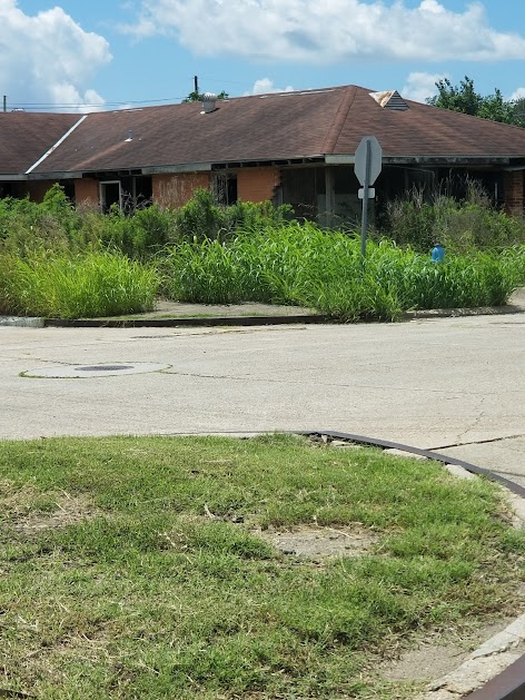 Junk Removal in Lower Ninth Ward Neighborhood, New Orleans, La