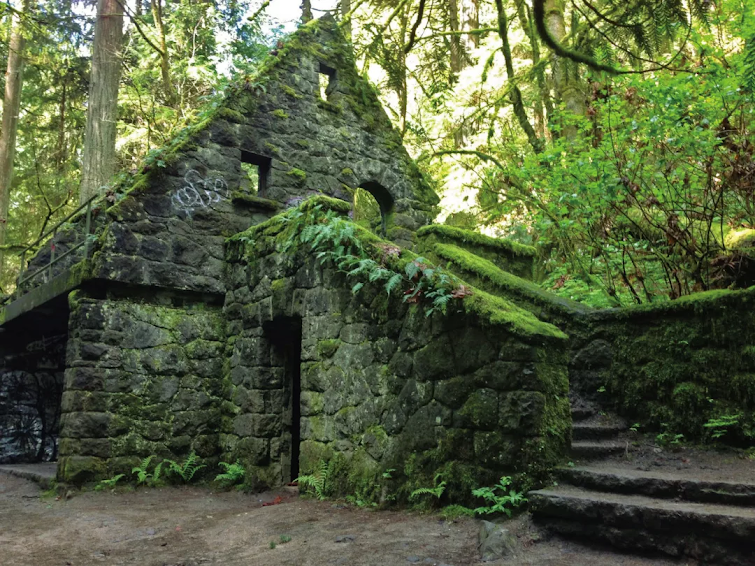 Junk Removal in Forest Park Neighborhood, Portland, Or