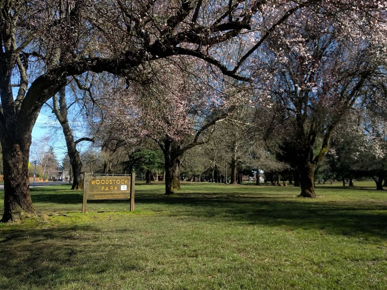 Woodstock Junk Removal WE JUNK in Portland, Or