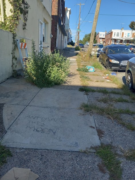 Junk Removal in Overbrook Neighborhood, Philadelphia, Pa