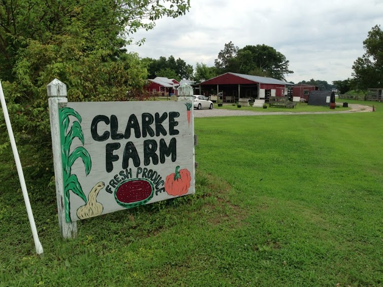 Junk Removal in Clark Farm Estates Neighborhood, Chesapeake, Va
