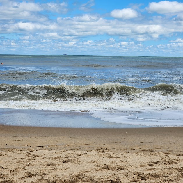 Junk Removal in Croatan Neighborhood, Virginia Beach, Va